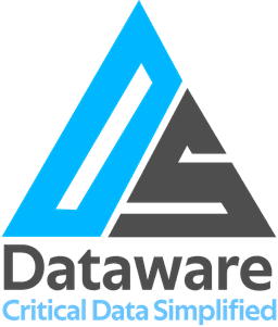 Dataware Systems logo